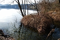 Avigliana Lago Grande In Inverno_060